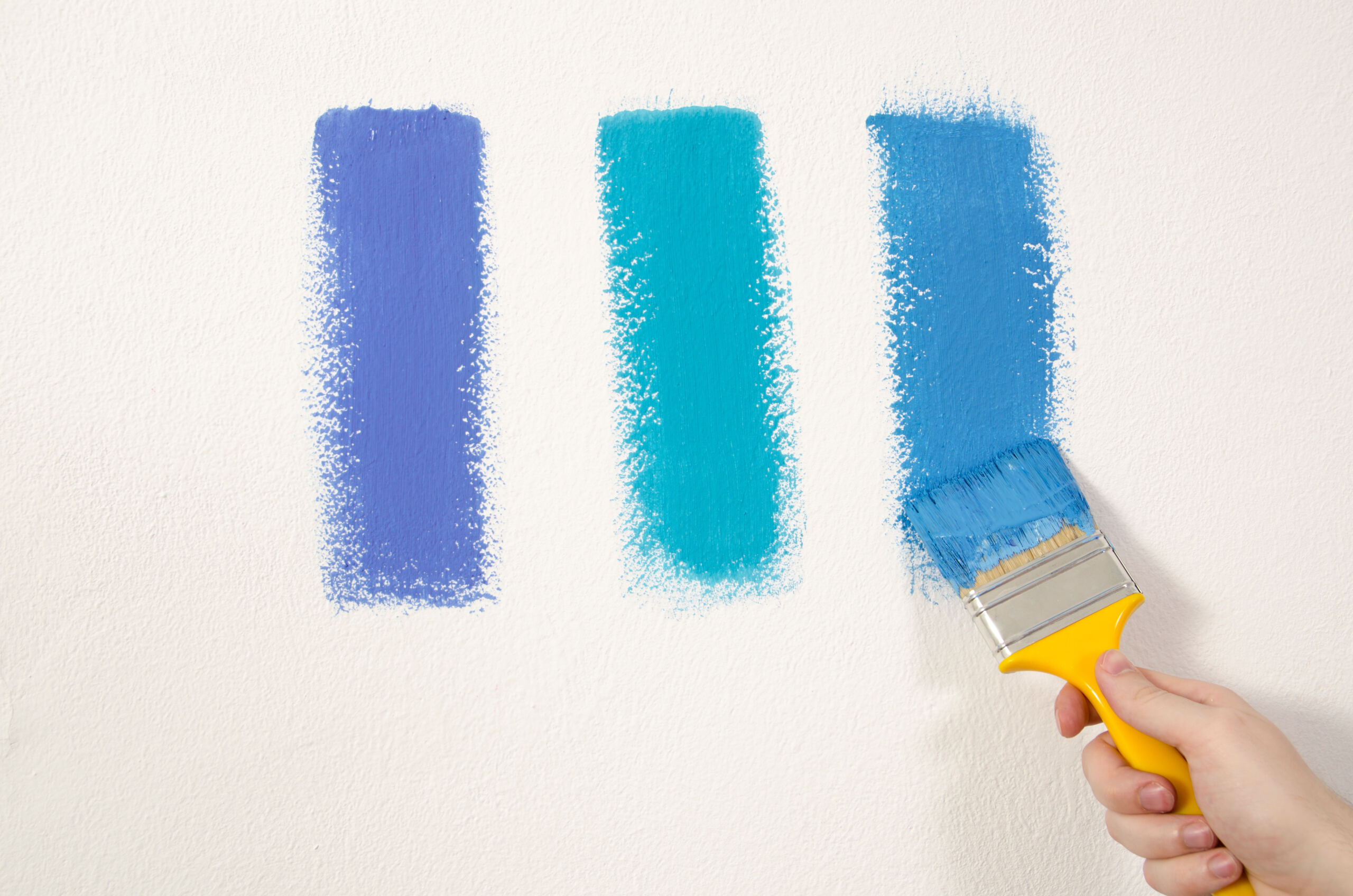 Top Reasons Why the Right Colour Scheme is Vital for Your Retail Store
